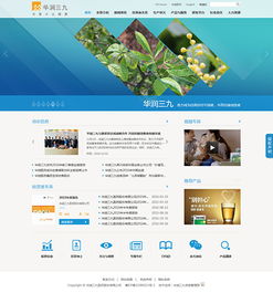 醫藥企業如何通過網站建設，鑄就卓越品牌形象