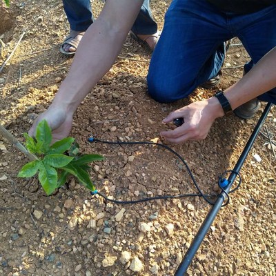 茂源牌滴箭 優質灌溉滴箭的領先選擇與實用指南